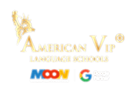 American VIP footer logo